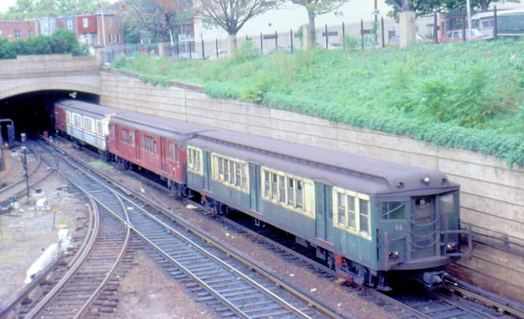 BSL in 1980