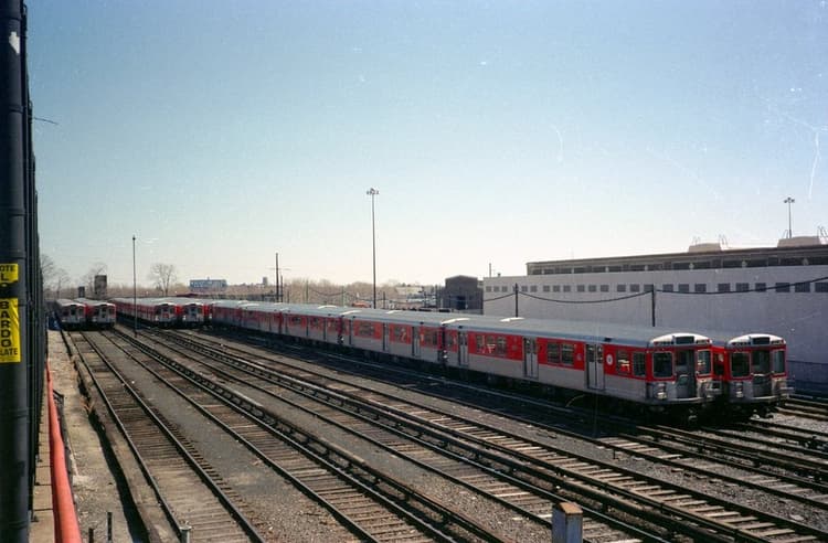 BSL in 1990